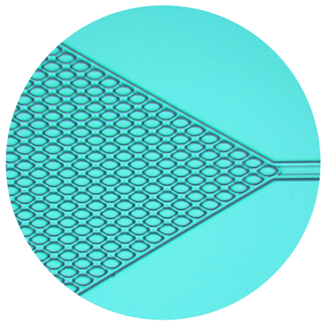 Example of microfluidics device