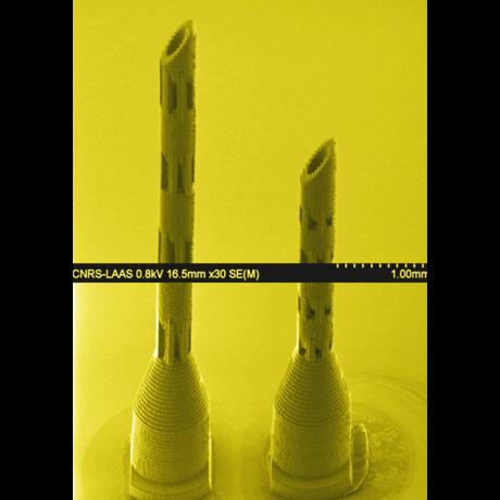 Exemple de biotechnologie 3D : micro-aiguilles 3