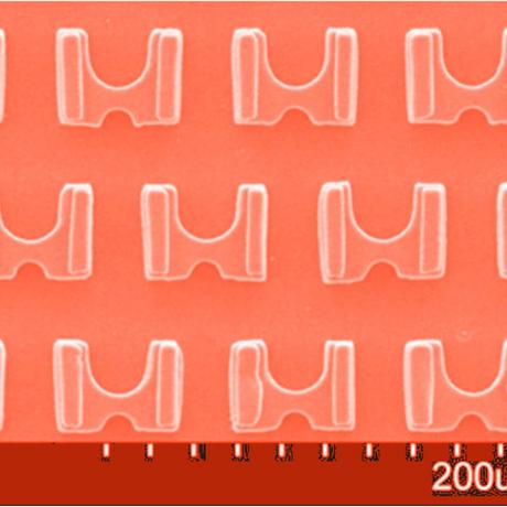 Exemple de biotechnologie 3D : patchenko trap