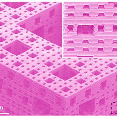 Exemple de biotechnologie 3D : structure fractale