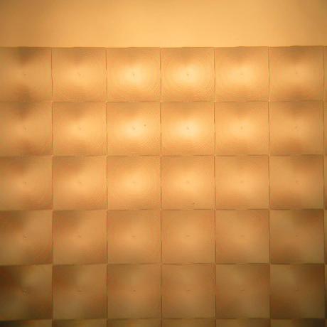 Example of greyscale application: zoom over square microlens array