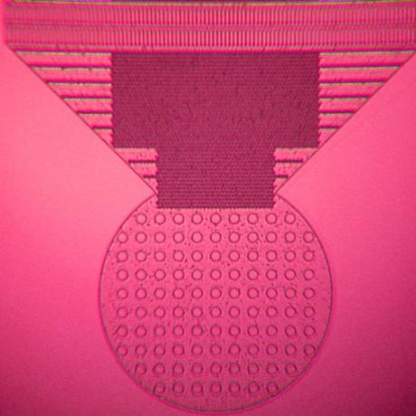 Exemple de dispositif microfluidique : circuit 2