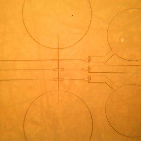 Exemple de dispositif microfluidique : circuit 5