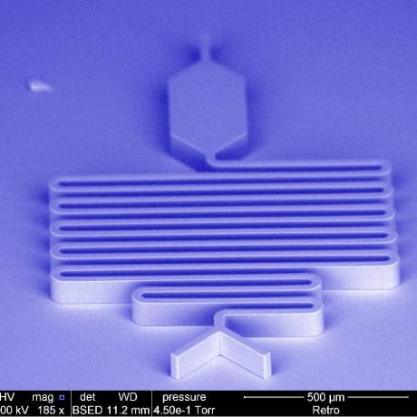 Exemple de dispositif microfluidique pour la reproduction de PDMS
