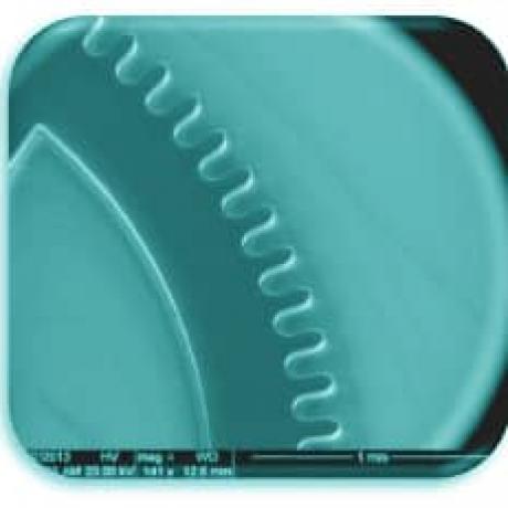 Exemple de structure micromécanique : micro-roue