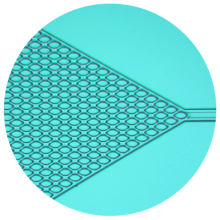 Exemple de dispositif microfluidique